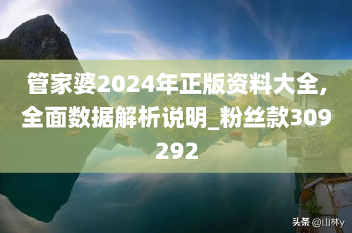 管家婆2024年正版资料大全,全面数据解析说明_粉丝款309292