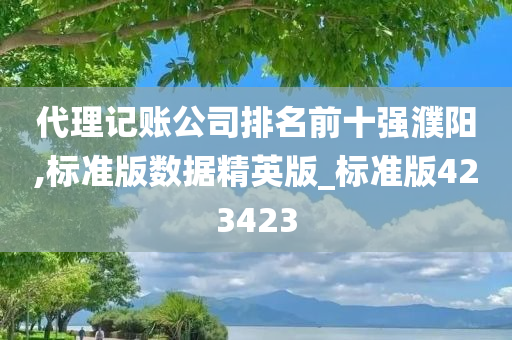 代理记账公司排名前十强濮阳,标准版数据精英版_标准版423423