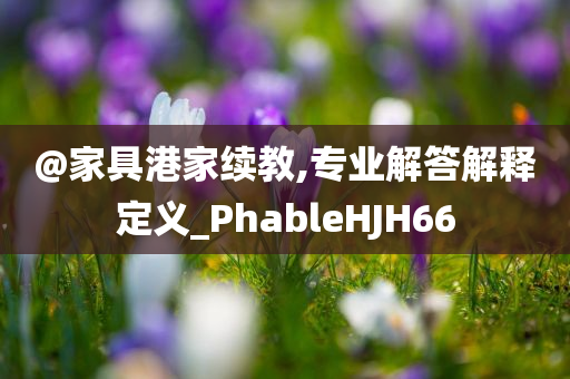 @家具港家续教,专业解答解释定义_PhableHJH66