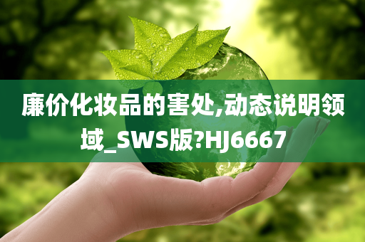 廉价化妆品的害处,动态说明领域_SWS版?HJ6667