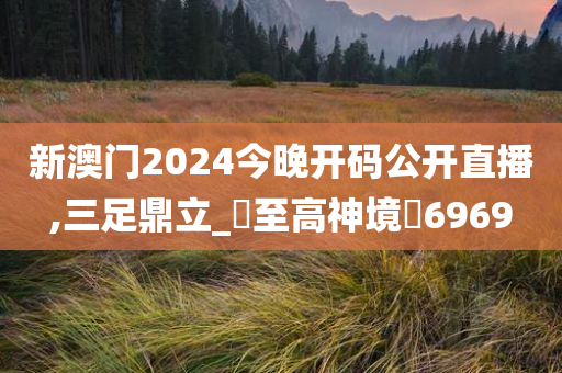 新澳门2024今晚开码公开直播,三足鼎立_?至高神境?6969