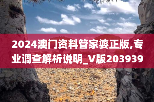 2024澳门资料管家婆正版,专业调查解析说明_V版203939