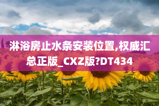 淋浴房止水条安装位置,权威汇总正版_CXZ版?DT434