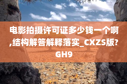 电影拍摄许可证多少钱一个啊,结构解答解释落实_CXZS版?GH9