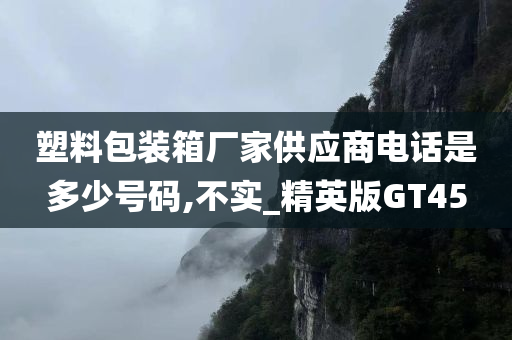 塑料包装箱厂家供应商电话是多少号码,不实_精英版GT45