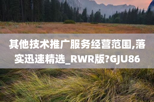 其他技术推广服务经营范围,落实迅速精选_RWR版?GJU86