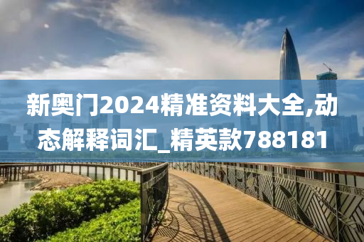 新奥门2024精准资料大全,动态解释词汇_精英款788181