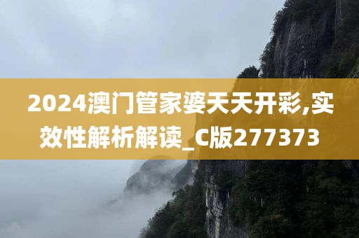 2024澳门管家婆天天开彩,实效性解析解读_C版277373