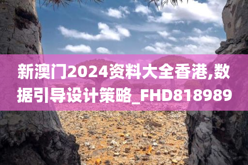 新澳门2024资料大全香港,数据引导设计策略_FHD818989