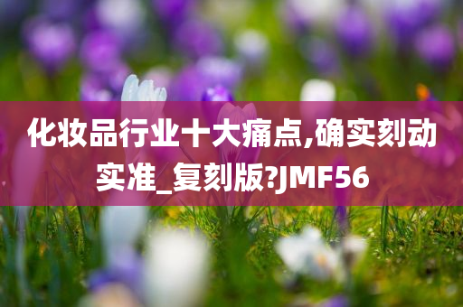 化妆品行业十大痛点,确实刻动实准_复刻版?JMF56