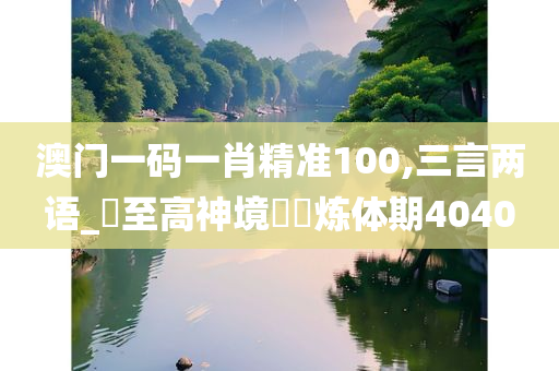 澳门一码一肖精准100,三言两语_?至高神境??炼体期4040