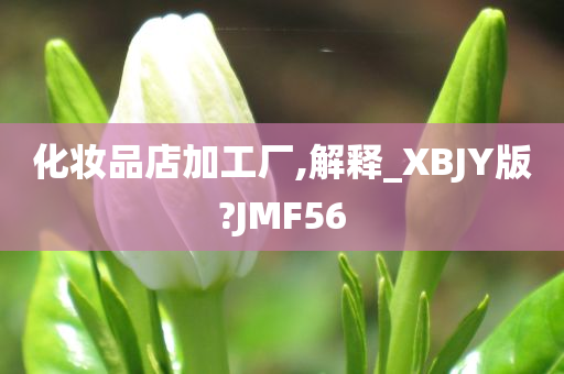 化妆品店加工厂,解释_XBJY版?JMF56