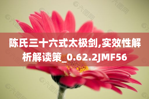 陈氏三十六式太极剑,实效性解析解读策_0.62.2JMF56