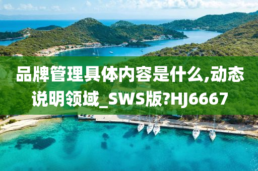 品牌管理具体内容是什么,动态说明领域_SWS版?HJ6667