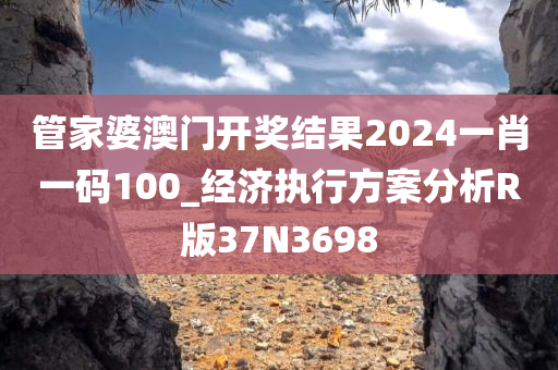 管家婆澳门开奖结果2024一肖一码100_经济执行方案分析R版37N3698