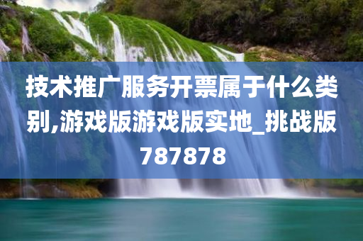 技术推广服务开票属于什么类别,游戏版游戏版实地_挑战版787878