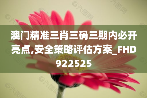 澳门精准三肖三码三期内必开亮点,安全策略评估方案_FHD922525