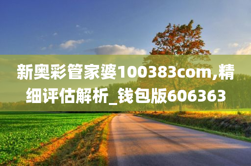 新奥彩管家婆100383com,精细评估解析_钱包版606363