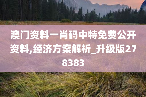 澳门资料一肖码中特免费公开资料,经济方案解析_升级版278383