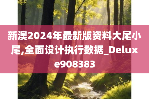 新澳2024年最新版资料大尾小尾,全面设计执行数据_Deluxe908383