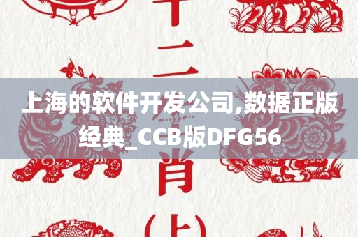 上海的软件开发公司,数据正版经典_CCB版DFG56