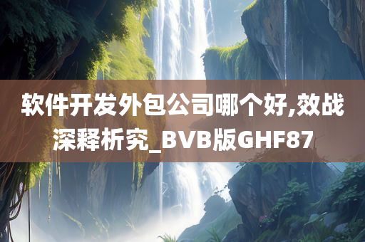 软件开发外包公司哪个好,效战深释析究_BVB版GHF87