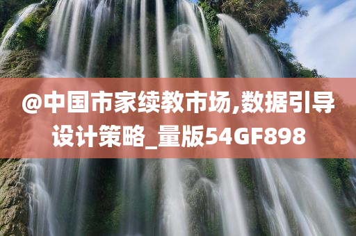 @中国市家续教市场,数据引导设计策略_量版54GF898