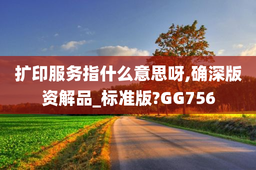 扩印服务指什么意思呀,确深版资解品_标准版?GG756