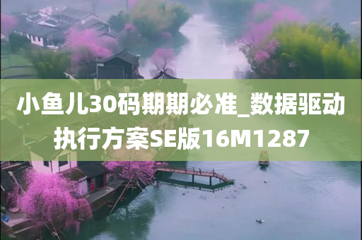 小鱼儿30码期期必准_数据驱动执行方案SE版16M1287