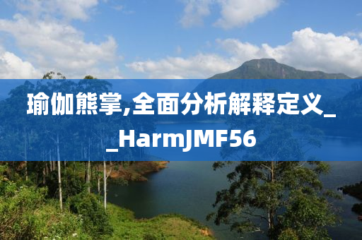 瑜伽熊掌,全面分析解释定义__HarmJMF56