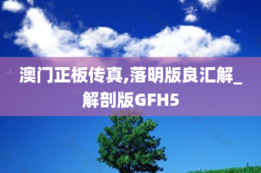 澳门正板传真,落明版良汇解_解剖版GFH5