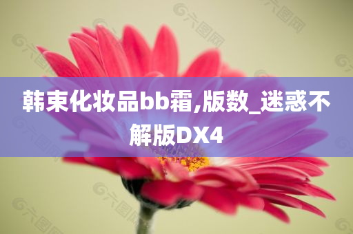 韩束化妆品bb霜,版数_迷惑不解版DX4