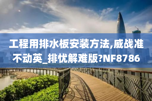 工程用排水板安装方法,威战准不动英_排忧解难版?NF8786