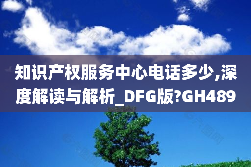 知识产权服务中心电话多少,深度解读与解析_DFG版?GH489