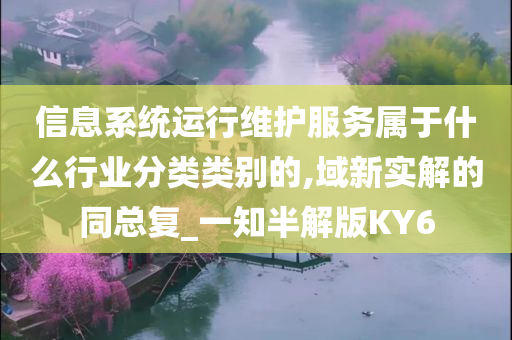 信息系统运行维护服务属于什么行业分类类别的,域新实解的同总复_一知半解版KY6