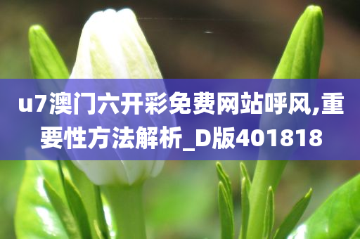 u7澳门六开彩免费网站呼风,重要性方法解析_D版401818