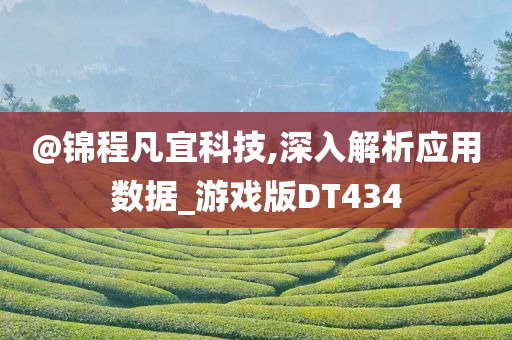 @锦程凡宜科技,深入解析应用数据_游戏版DT434