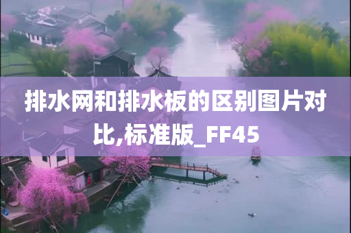 排水网和排水板的区别图片对比,标准版_FF45