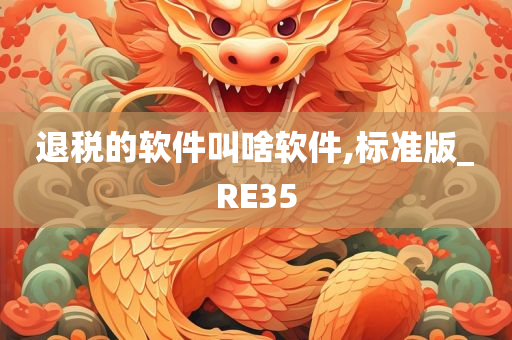 退税的软件叫啥软件,标准版_RE35