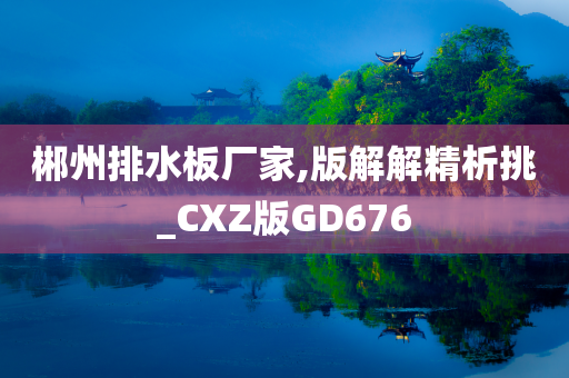 郴州排水板厂家,版解解精析挑_CXZ版GD676