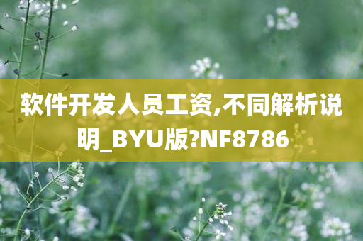 软件开发人员工资,不同解析说明_BYU版?NF8786