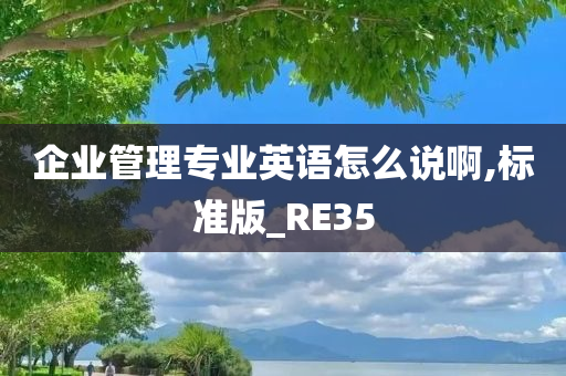 企业管理专业英语怎么说啊,标准版_RE35