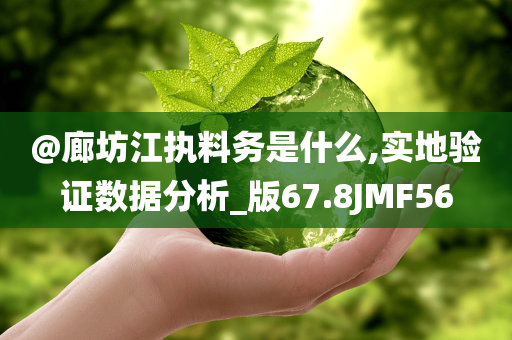 @廊坊江执料务是什么,实地验证数据分析_版67.8JMF56