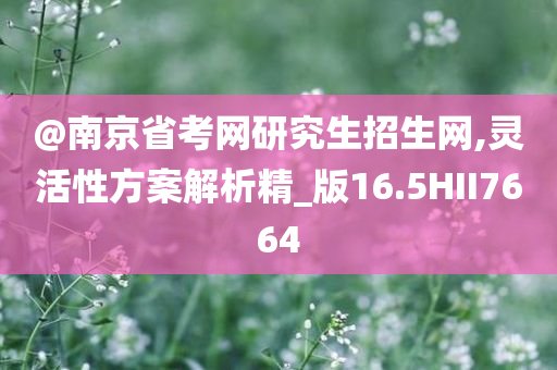 @南京省考网研究生招生网,灵活性方案解析精_版16.5HII7664