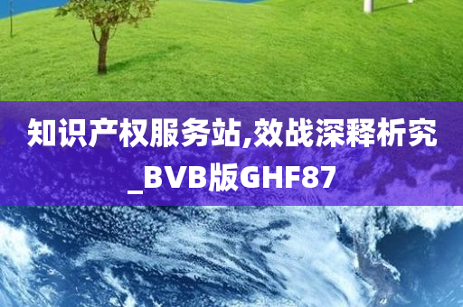 知识产权服务站,效战深释析究_BVB版GHF87