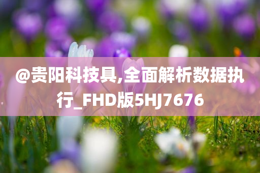 @贵阳科技具,全面解析数据执行_FHD版5HJ7676