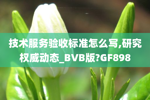 技术服务验收标准怎么写,研究权威动态_BVB版?GF898