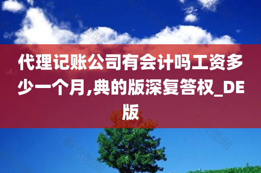 代理记账公司有会计吗工资多少一个月,典的版深复答权_DE版