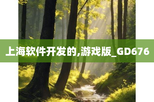 上海软件开发的,游戏版_GD676