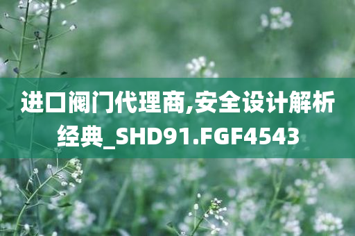 进口阀门代理商,安全设计解析经典_SHD91.FGF4543